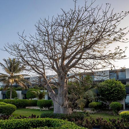 فندق راديسون بلو، داكار سي بلازا داكاغْ المظهر الخارجي الصورة A tree in the resort